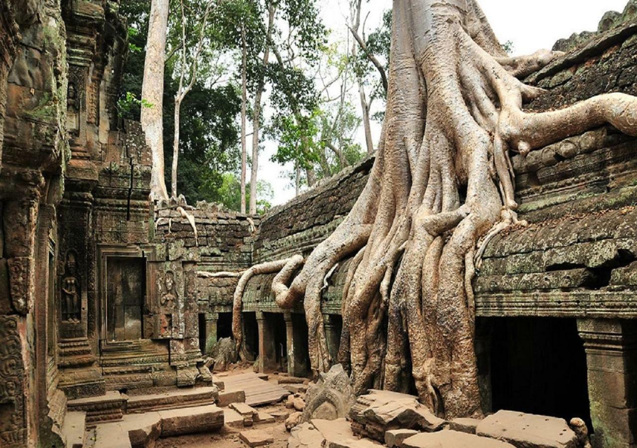סיאם ריפ Anachak Angkor Residence מראה חיצוני תמונה