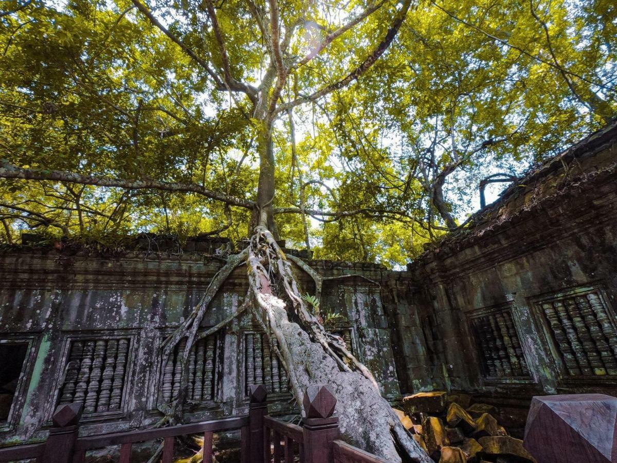 סיאם ריפ Anachak Angkor Residence מראה חיצוני תמונה